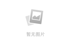 2024 年 AI Agents 的发展现状